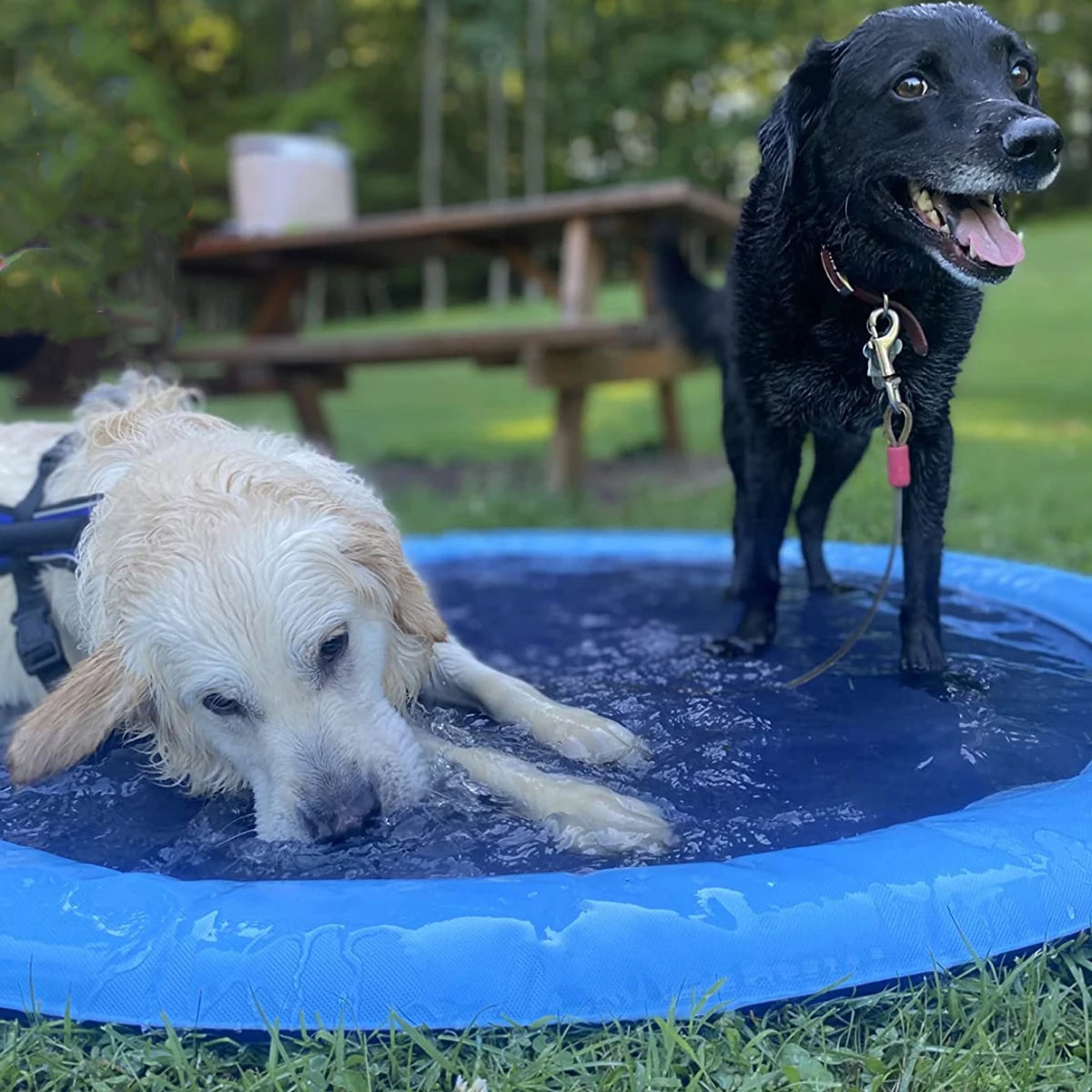 pet-sprinkler-pad