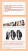800m Digital Dog Training Collar!