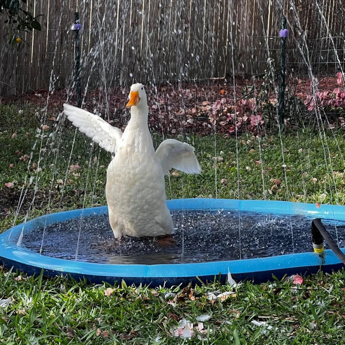 pet-sprinkler-pad
