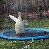pet-sprinkler-pad