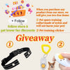 800m Digital Dog Training Collar!