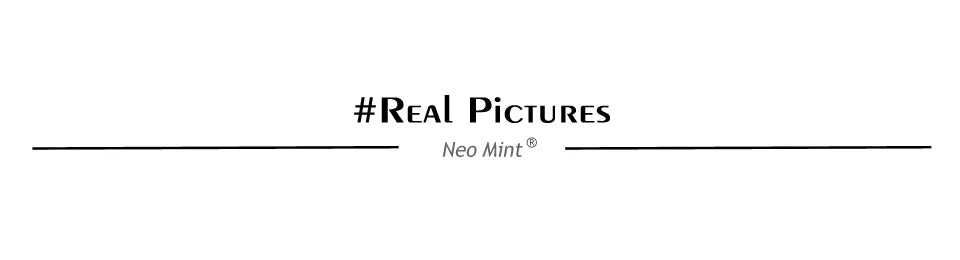 Neo Mint Luxe Faux Fur Jacket– Where Comfort Meets New Fashion!
