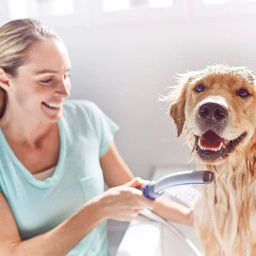 Dog Shower Sprayer Attachment